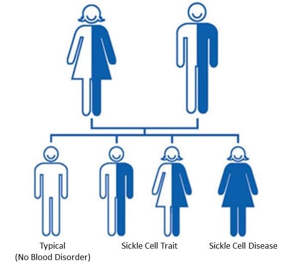 sickle cell traits